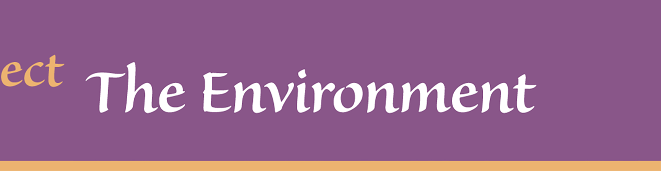 Environment